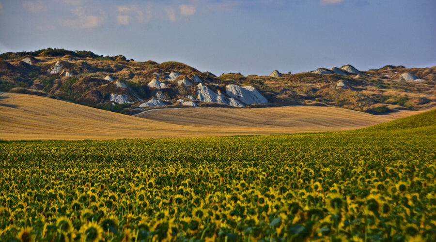 WFPB TUSCANY TOUR EXPERIENCE