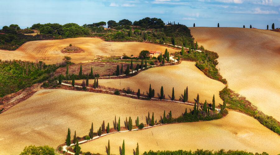 WFPB TUSCANY TOUR EXPERIENCE