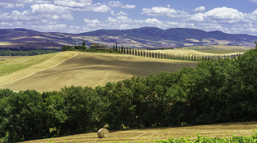 WFPB TUSCANY TOUR EXPERIENCE