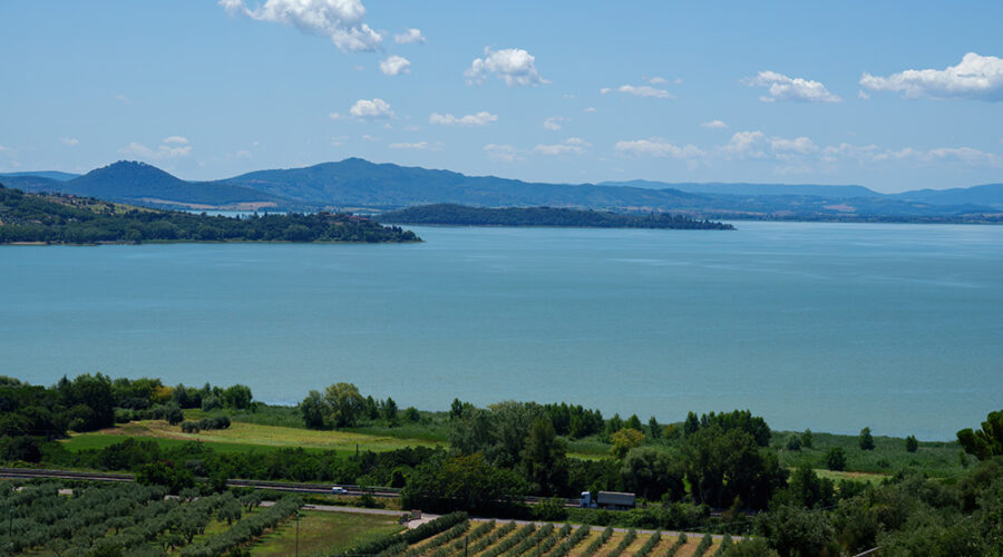 WFPB TUSCANY TOUR EXPERIENCE